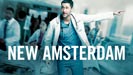 Сериал Новый Амстердам - Медицинская история «Нового Амстердама»